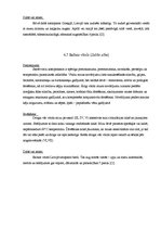 Referāts 'Ārstniecības augu pielietojums saaukstēšanās gadījumos', 15.