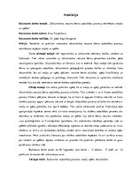 Diplomdarbs 'Sākumskolas vecuma bērnu sadarbības prasmju sekmēšana rotaļās un spēlēs', 2.