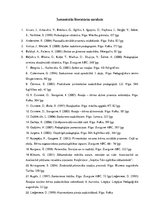 Diplomdarbs 'Sākumskolas vecuma bērnu sadarbības prasmju sekmēšana rotaļās un spēlēs', 60.