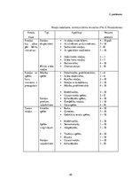 Diplomdarbs 'Sākumskolas vecuma bērnu sadarbības prasmju sekmēšana rotaļās un spēlēs', 65.