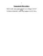 Referāts 'Kosmiskā teorija', 9.