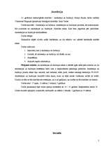 Referāts 'Anoreksija un bulīmija', 2.