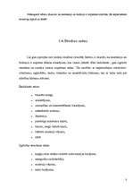 Referāts 'Anoreksija un bulīmija', 7.