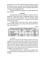 Diplomdarbs 'Uzņēmuma "Lauku atpūtas māja" izveidošana un virzīšana tirgū', 28.