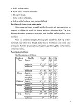 Prakses atskaite 'Vidusdaivas pneimonija', 4.