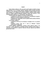 Referāts 'Korporatīvā sociālā atbildība uzņēmumos', 3.