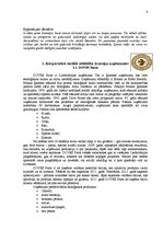 Referāts 'Korporatīvā sociālā atbildība uzņēmumos', 8.