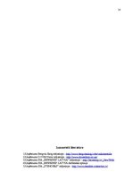 Referāts 'Korporatīvā sociālā atbildība uzņēmumos', 14.