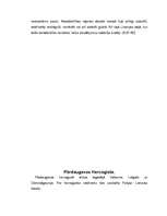 Referāts 'Poļu laiki Latvijas teritorijā laika posmā no 16.gs.-18.gs. sākumam', 8.