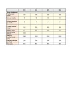 Paraugs 'Biznesa plāna finanšu modelis', 2.