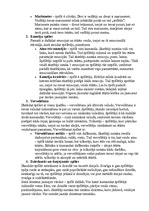 Konspekts 'Teātra sporta spēles', 2.