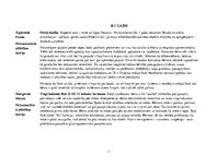 Konspekts 'Autoru skatījums uz bērna attīstību dažādos vecuma posmos', 1.