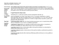 Konspekts 'Autoru skatījums uz bērna attīstību dažādos vecuma posmos', 2.