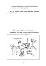 Referāts 'Darba aizsardzība reģistratora darbā', 10.