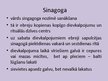 Prezentācija 'Jūdaisms', 15.