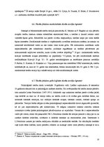 Referāts 'Valsts un tiesības. To savstarpējās attiecības', 19.