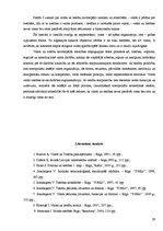 Referāts 'Valsts un tiesības. To savstarpējās attiecības', 29.