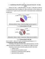 Referāts 'Finanšu analīze AS "Daugavpils lokomotīvju remonta rūpnīca"', 10.