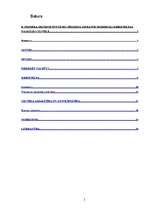 Referāts 'E.Fromma destruktivitātes jēdziena izpratne modernās kibertelpas cilvēkā', 2.