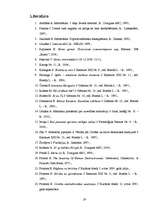 Referāts 'E.Fromma destruktivitātes jēdziena izpratne modernās kibertelpas cilvēkā', 19.