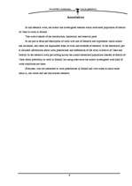 Referāts 'Cēsu rajona iedzīvotāji Īrijā', 3.