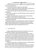 Referāts 'Cēsu rajona iedzīvotāji Īrijā', 6.