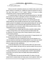 Referāts 'Cēsu rajona iedzīvotāji Īrijā', 17.