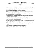 Referāts 'Cēsu rajona iedzīvotāji Īrijā', 19.