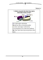 Referāts 'Cēsu rajona iedzīvotāji Īrijā', 24.