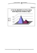 Referāts 'Cēsu rajona iedzīvotāji Īrijā', 31.