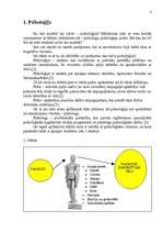 Referāts 'Geštaltpsiholoģija un kognitīvais virziens', 4.