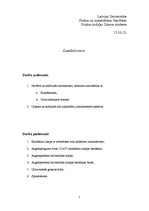 Paraugs 'Luminiscence', 1.