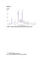 Paraugs 'Luminiscence', 7.