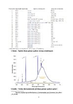 Paraugs 'Luminiscence', 8.