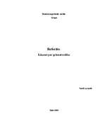 Referāts 'Grāmatvedība', 1.