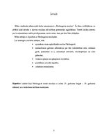 Referāts 'Pārdaugavas muižas', 3.