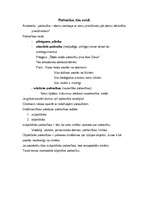 Konspekts 'Klasiskās filosofijas laikmeti. Patiesība, tās veidi', 2.