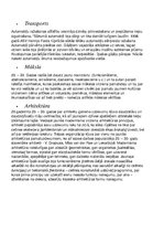 Konspekts 'Kultūras daudzveidība pasaulē 20.gadsimta 20.-30.gados', 2.