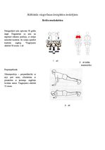 Prezentācija 'Atlētiskās vingrošanas komplekss', 1.