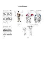 Prezentācija 'Atlētiskās vingrošanas komplekss', 6.