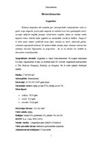 Referāts 'Dienvidamerika', 1.
