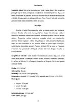Referāts 'Dienvidamerika', 10.