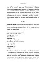 Referāts 'Dienvidamerika', 21.