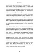 Referāts 'Dienvidamerika', 26.