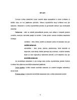 Referāts 'Neverbālās saskarsmes loma cilvēka dzīvē', 2.