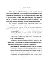 Referāts 'Neverbālās saskarsmes loma cilvēka dzīvē', 17.