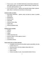 Referāts 'A/s "Laima" mārketinga analīze', 4.