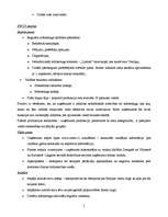 Referāts 'A/s "Laima" mārketinga analīze', 5.