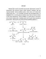 Referāts 'Katalītiska glicerīna oksidēšana ar skābekli un ūdeņraža peroksīdu ', 3.