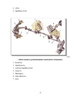 Diplomdarbs 'Stūres iekārtas piemērošana studiju vajadzībām', 17.